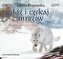 Idź i czekaj mrozów audiobook