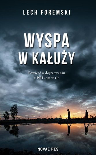 Wyspa w kałuży Wyspa w kałuży