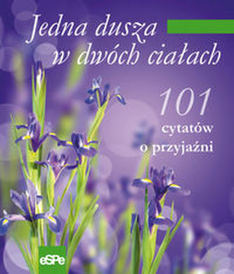 Jedna dusza w dwóch ciałach