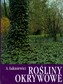 Rośliny okrywowe
