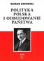Polityka Polska i Odbudowanie państwa