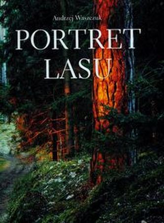 Portret lasu