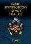 Szkic strategiczny wojny 1914-1918 Tom 1