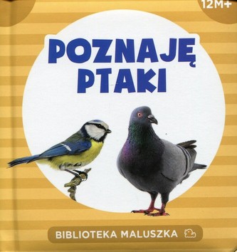 Poznaję ptaki Biblioteka maluszka