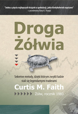 Droga Żółwia Droga Żółwia