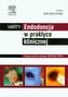 HARTY Endodoncja w praktyce klinicznej