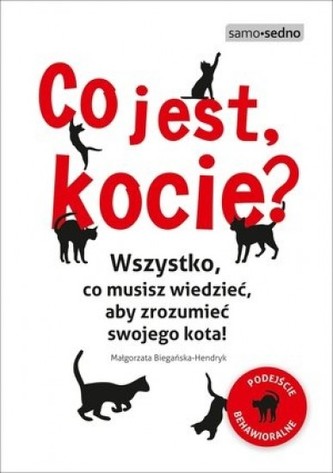 Co jest, kocie? Co jest, kocie?
