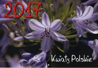 Kalendarz wiszący. Kwiaty polskie 2017. Poziomy