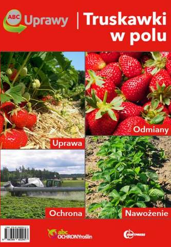 ABC Uprawy. Truskawki w polu ABC Uprawy. Truskawki w polu