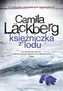 Księżniczka z lodu. Wyd.4