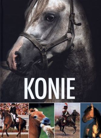 Konie