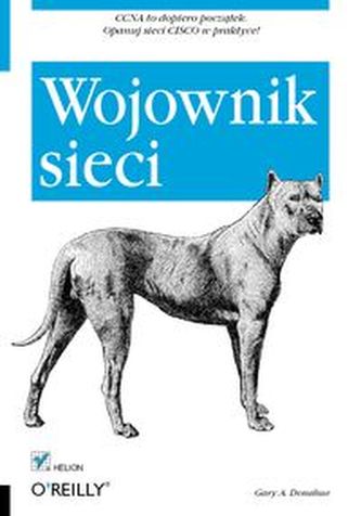 Wojownik sieci