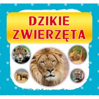 Dzikie zwierzęta