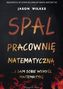 Spal pracownię matematyczną… i sam sobie wymyśl matematykę
