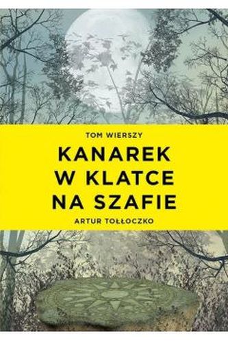 Kanarek w klatce na szafie