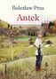 ANTEK