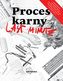 PROCES KARNY LAST MINUTE 11.2016