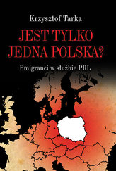 Spojrzenie na polski Wrzesień 1939 roku