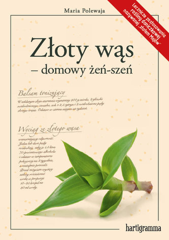Złoty wąs - domowy żeń-szeń Złoty wąs - domowy żeń-szeń