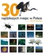 30 najdzikszych miejsc w Polsce
