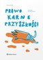 Prawo karne przyszłości