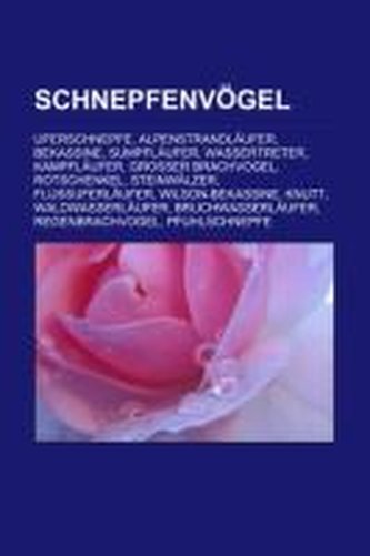Schnepfenvögel