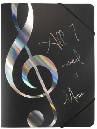 Teczka- All I Need Is Music srebrna