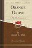 Orange Grove