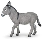 Osel šedý