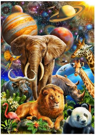 Puzzle 1000 Uniwersalne piekno