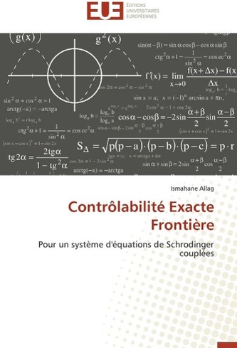 Contrôlabilité Exacte Frontière