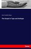 The Gospel in Type and Antitype