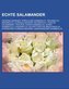 Echte Salamander