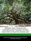 Roads Less Travelled: Interesting Things to Do and See in South Carolina