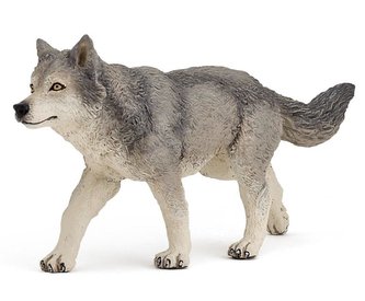 Vlk obecný Vlk obecný