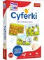 Malý objevitel - Čísla TREFL