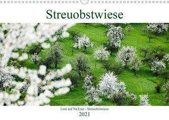Lust auf NaTour - Streuobstwiese (Wandkalender 2021 DIN A3 quer)
