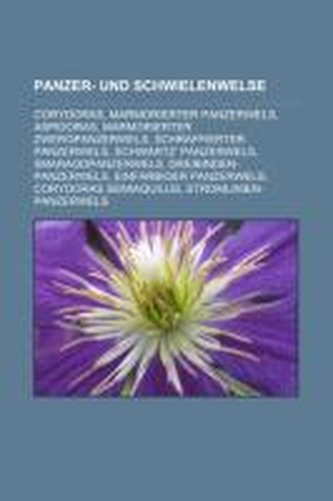 Panzer- und Schwielenwelse