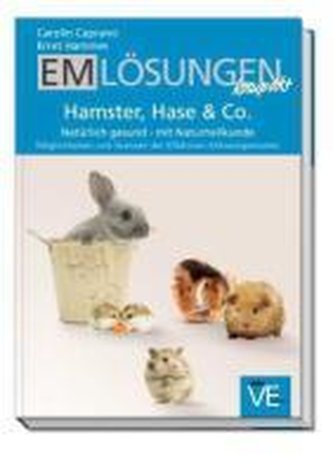 EM Lösungen kompakt