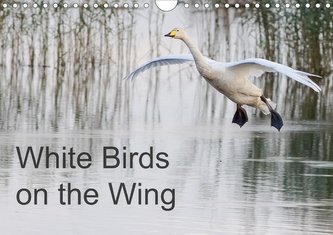 White Birds on the Wing (Wall Calendar 2021 DIN A4 Landscape)