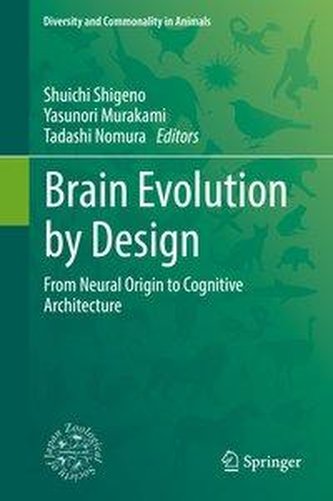 Brain Evolution by Design