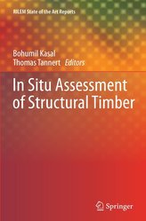 In Situ Assessment of Structural Timber