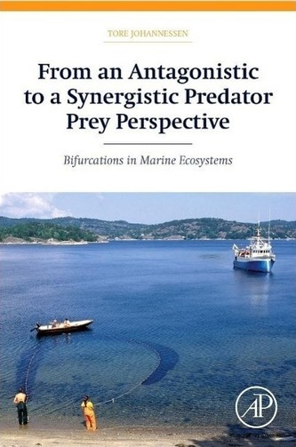 From an Antagonistic to a Synergistic Predator Prey Perspective