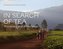 In Search of Tea
