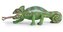 Chameleon