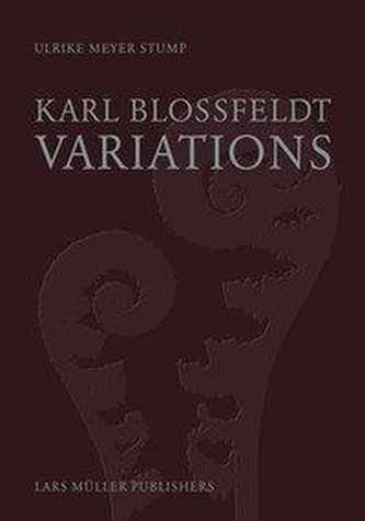 Karl Blossfeldt: Variations