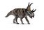 Diabloceratops