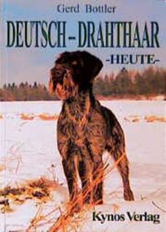 Deutsch-Drahthaar Heute