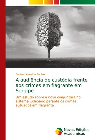 A audiência de custódia frente aos crimes em flagrante em Sergipe