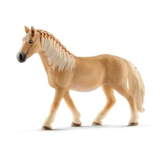 Klisna plemene Haflinger